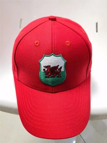 Promozione personalizzata Cappello da baseball vuoto per papà sportivo a 6 pannelli